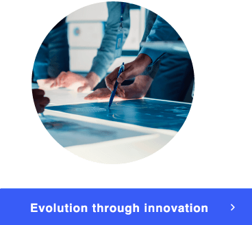 Evolution through innovation